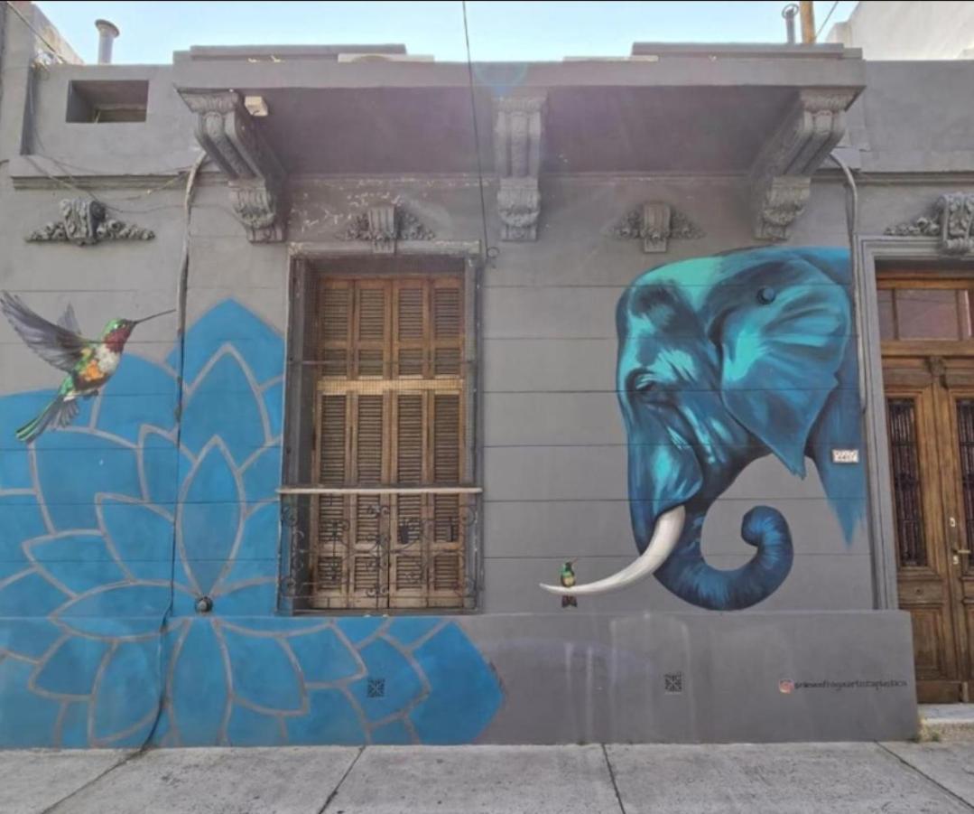 Blue Elephant House * Ciudad Autónoma de Buenos Aires