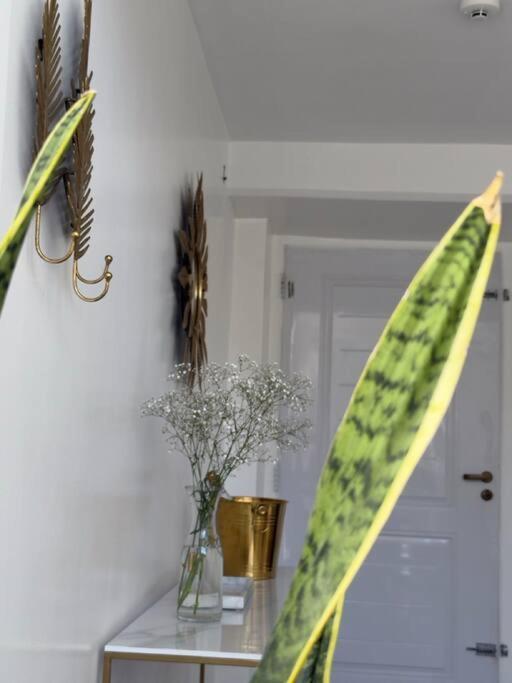 Apartamento Plaza Serrano - Casa Dorada Luxury Loft By Airesb&b *