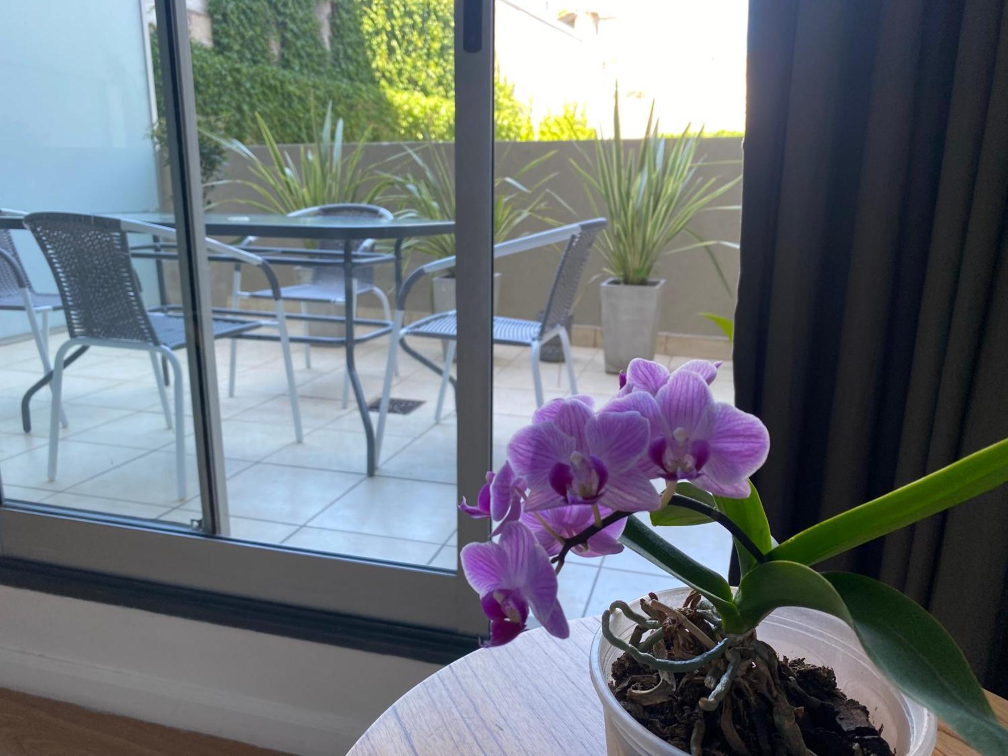 Apartamento Palermo Hollywood Ba