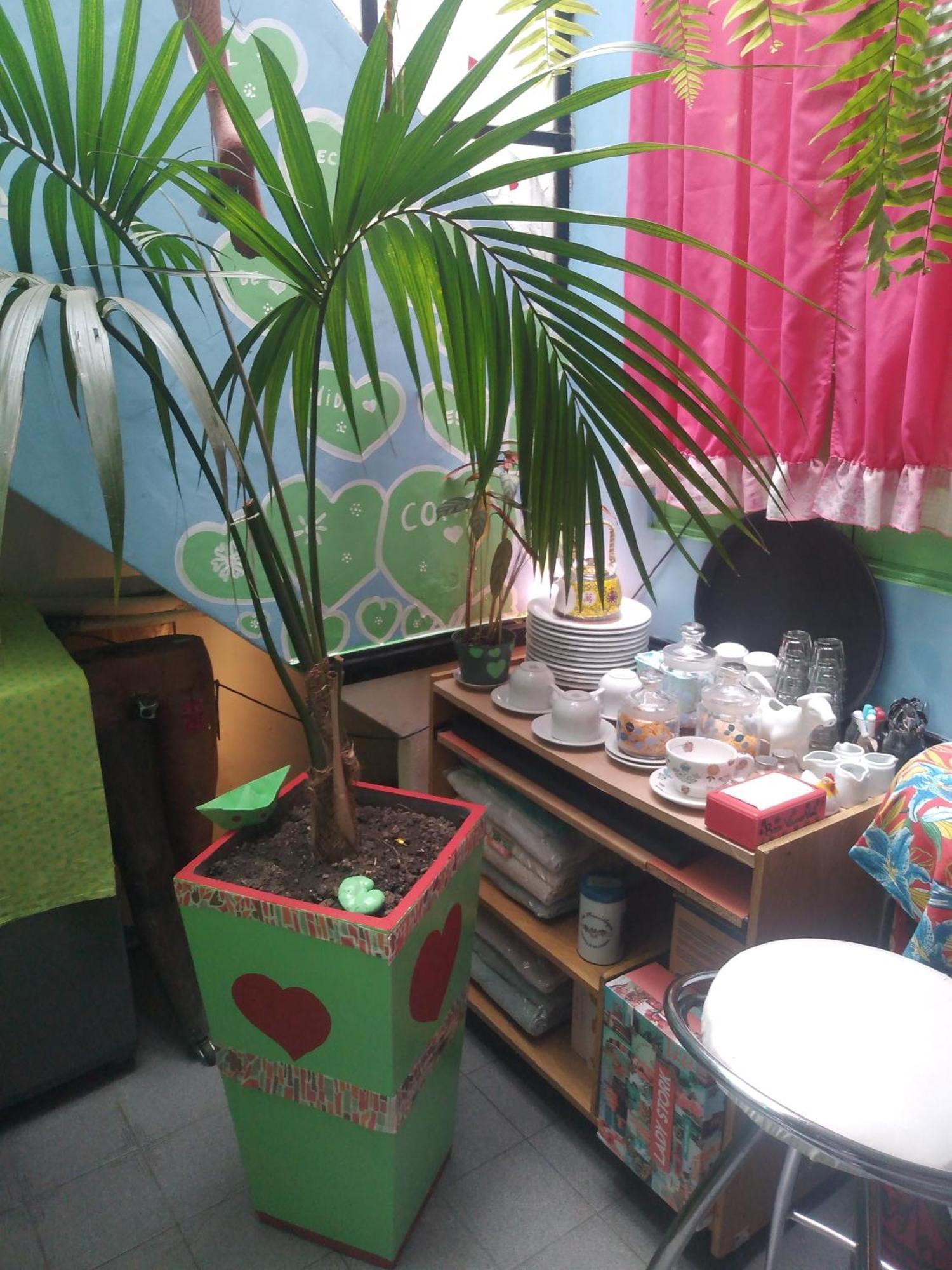 Guest house House *