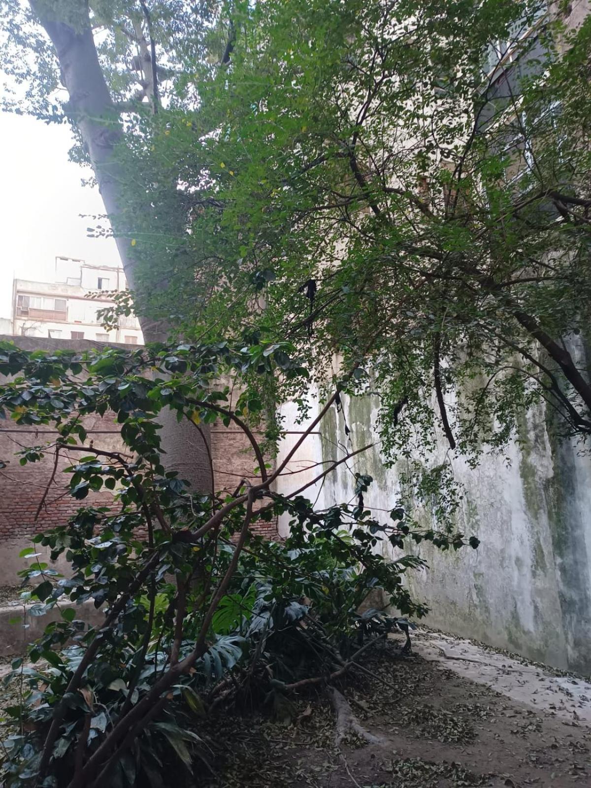 Departamento Con Balcon Al Frente 5 Ambientes Y Jardin Ciudad Autónoma de Buenos Aires