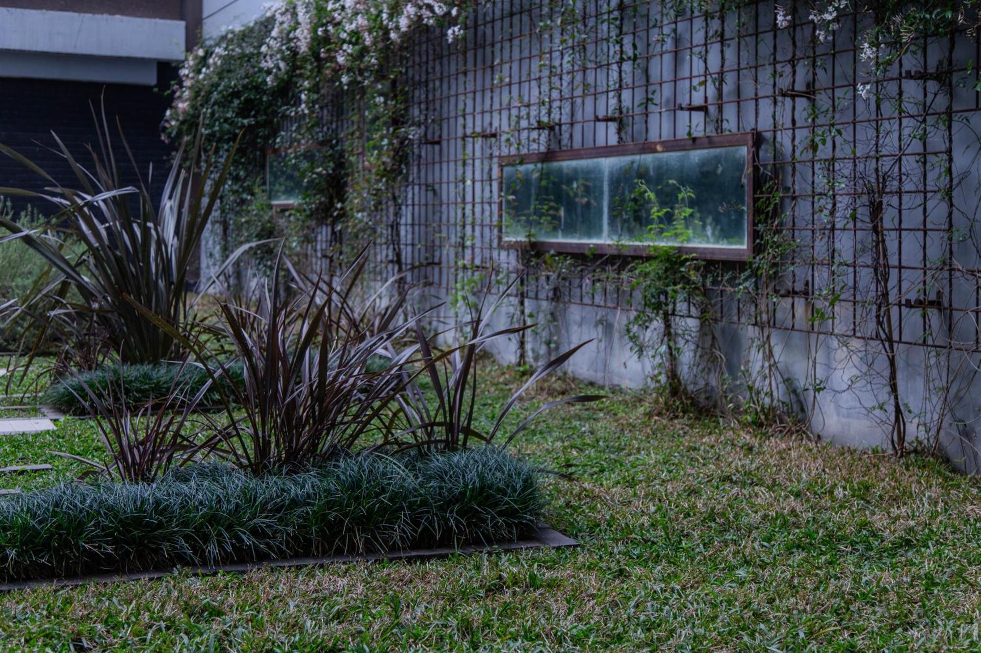 Cattleya Beautiful Apartamento