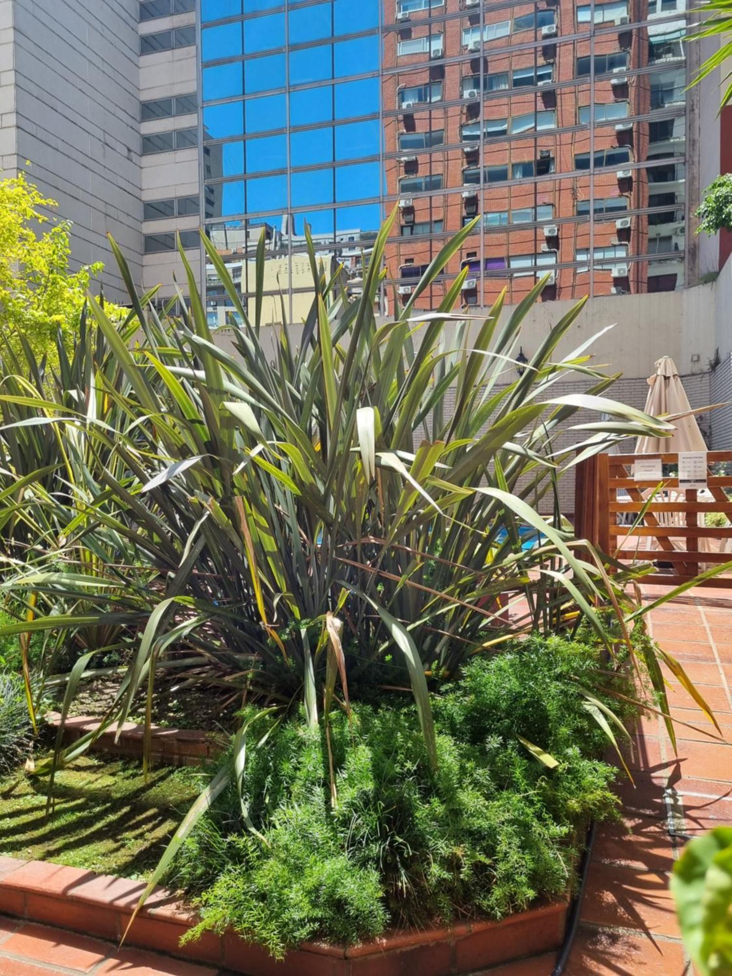 Suipacha 603 Apartahotel