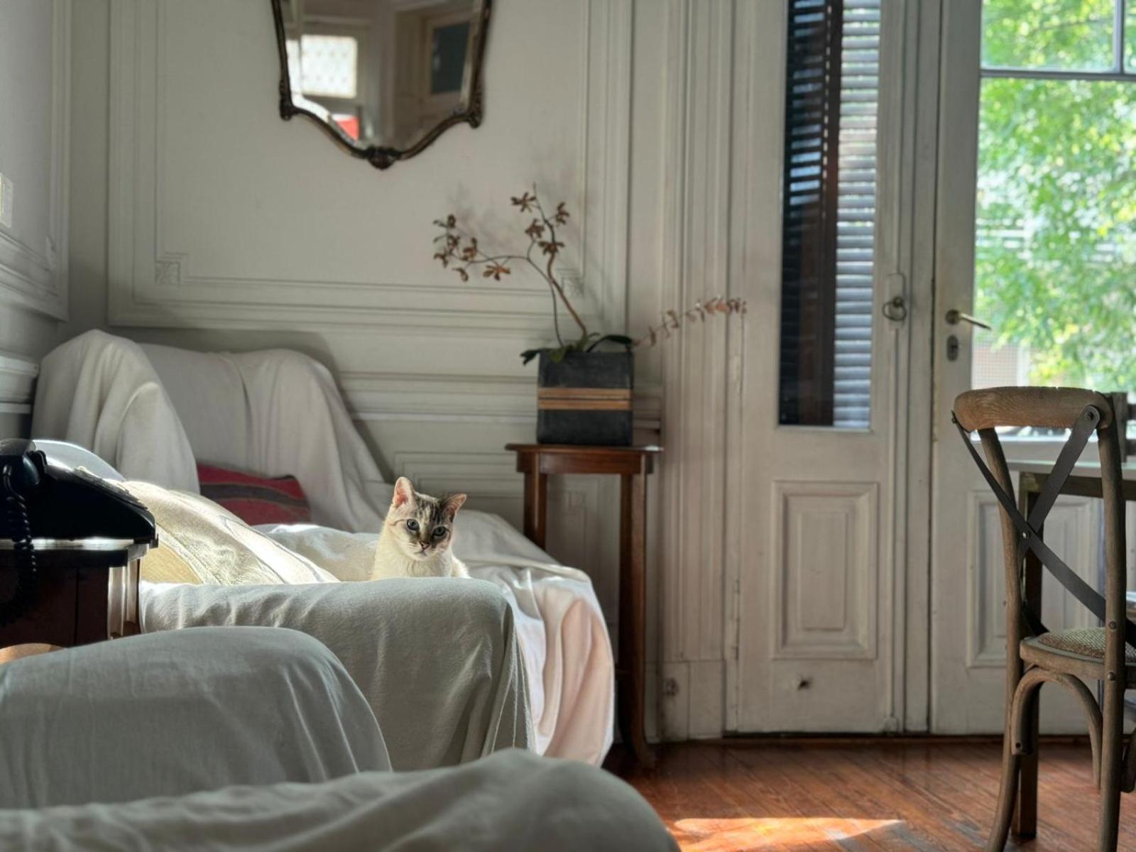 Casamor Bed and breakfast Ciudad Autónoma de Buenos Aires