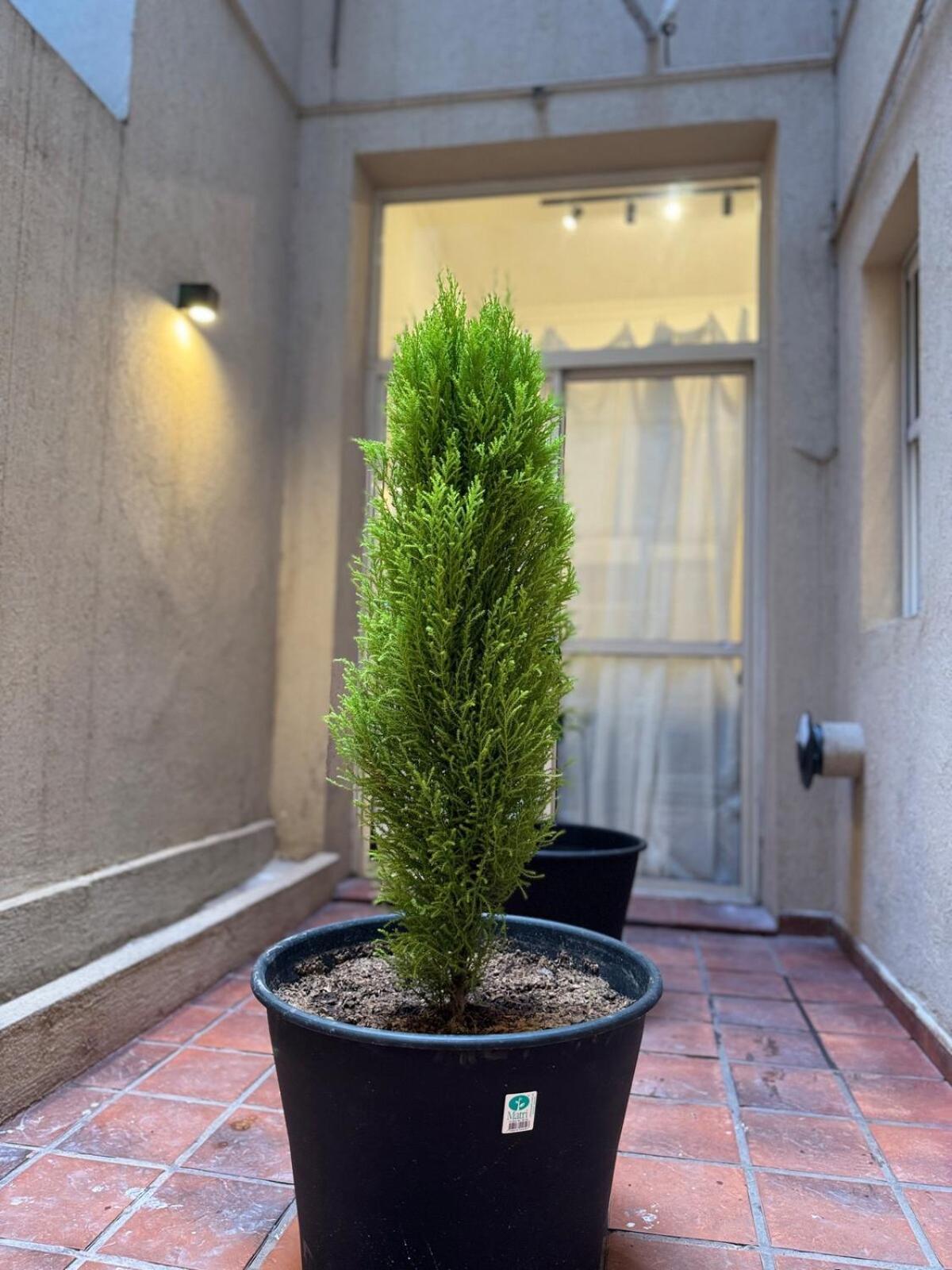 Beautiful And Comfortable Dpto In The Heart Of Palermo Apartamento