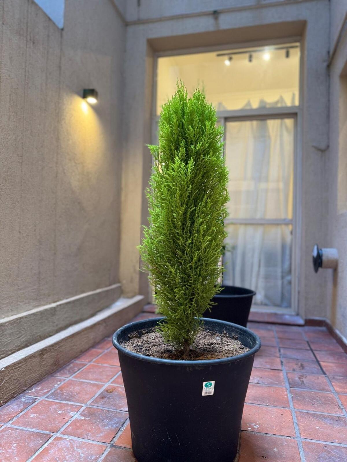 Beautiful And Comfortable Dpto In The Heart Of Palermo *