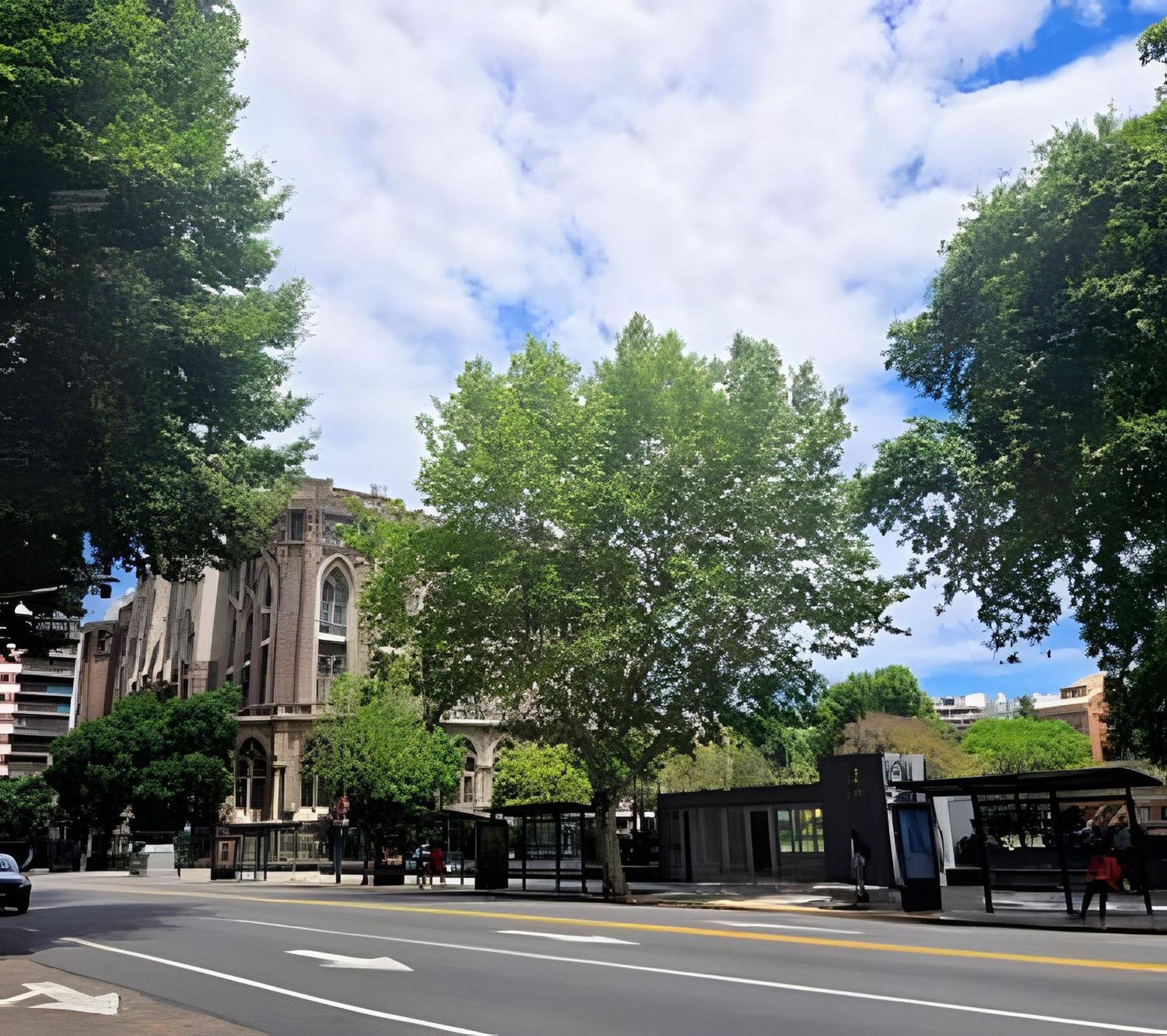 Loft Amplio 50m2 Nuevo En Recoleta * Buenos Aires
