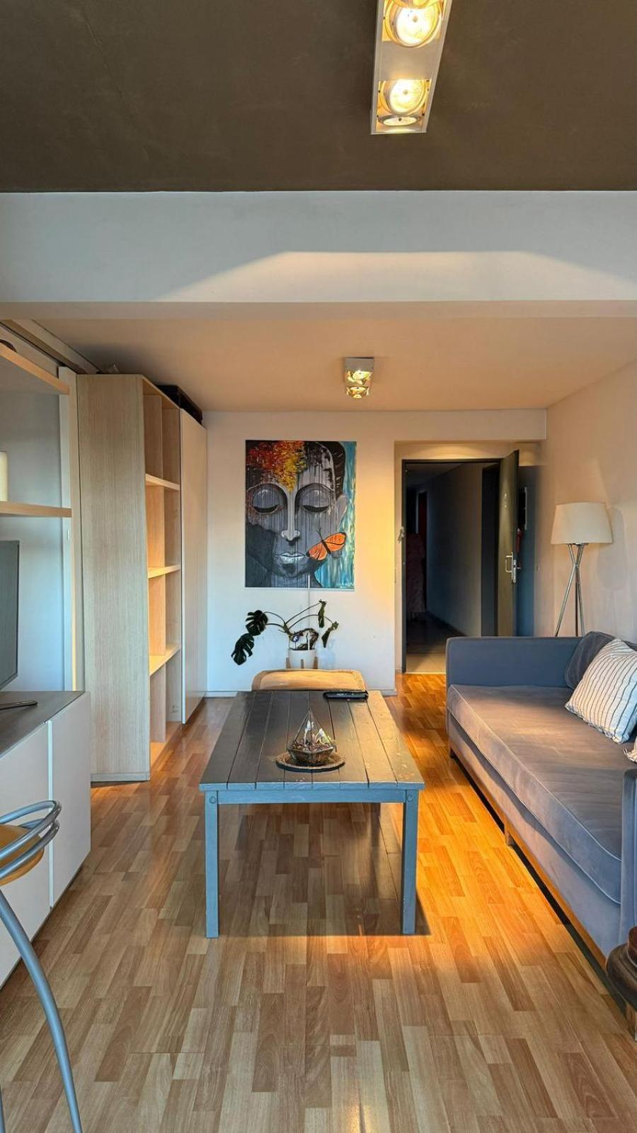 Apartamento Departamento En Palermo - 2 Ambientes Con Balcon Y Piscina En Terraza