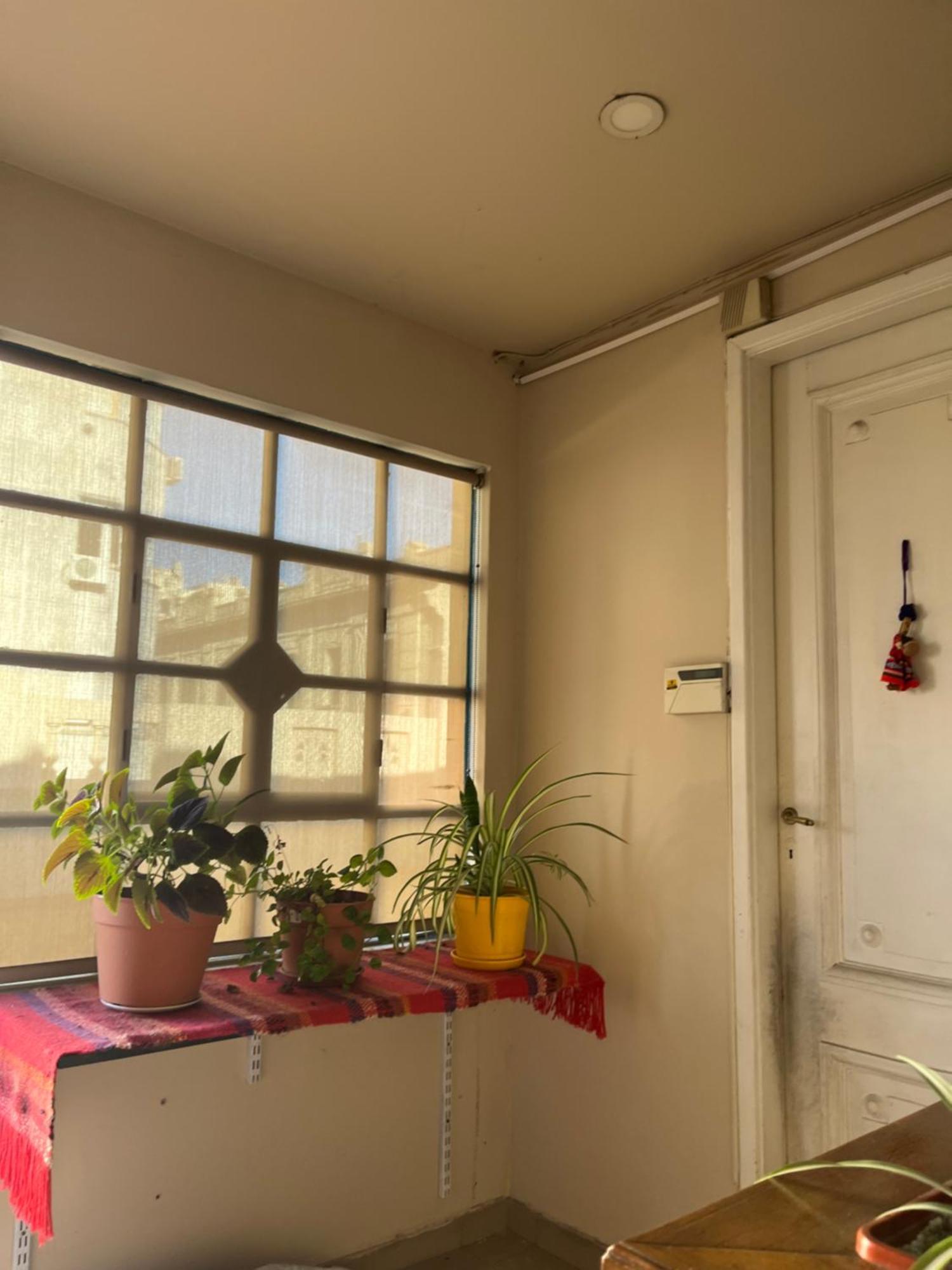 Zentelmo Ciudad Autónoma de Buenos Aires