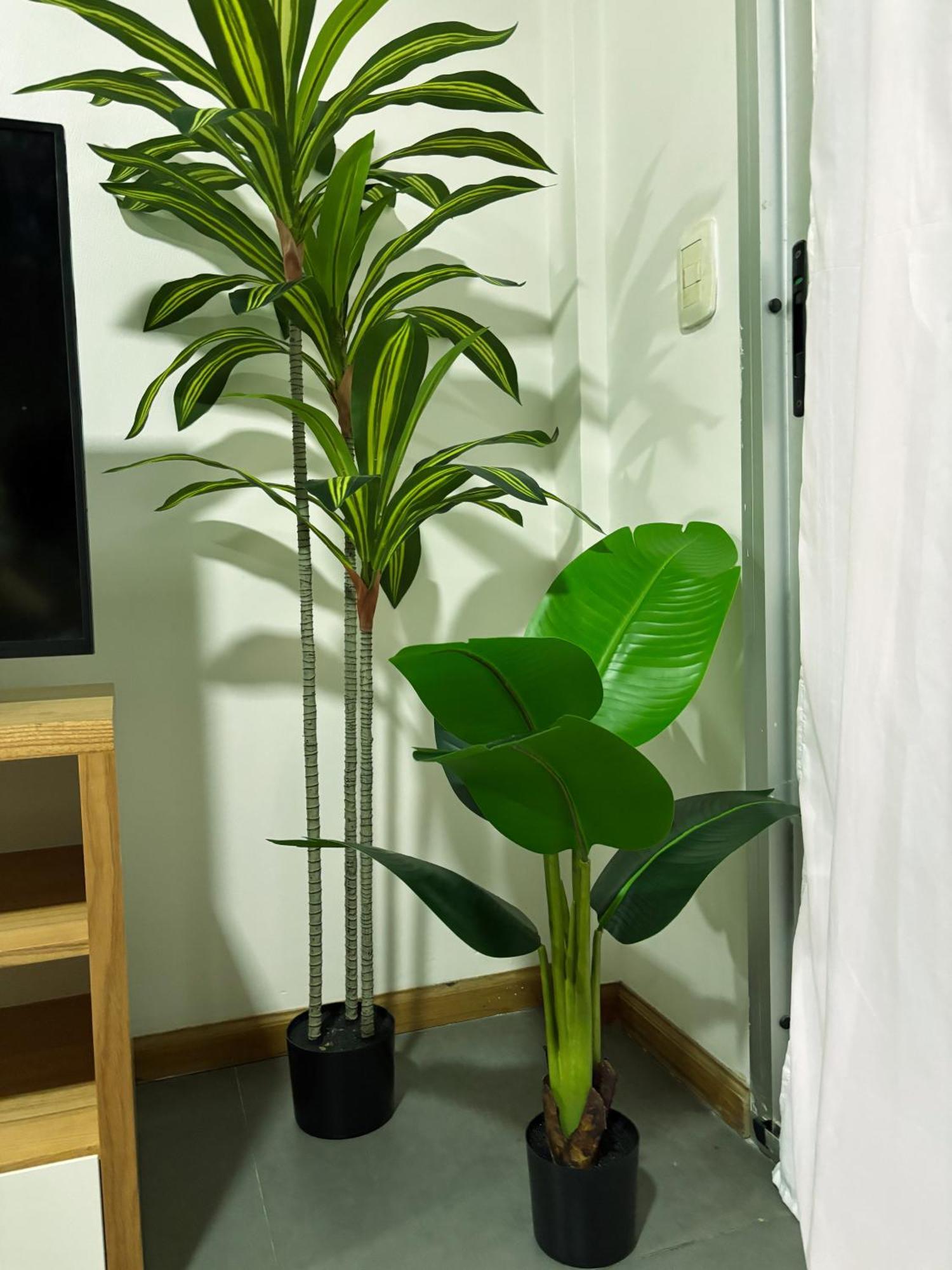 Apartamento Palermo Soho, 2 Ambientes, Pet Friendly, Con Laundry Y Patio