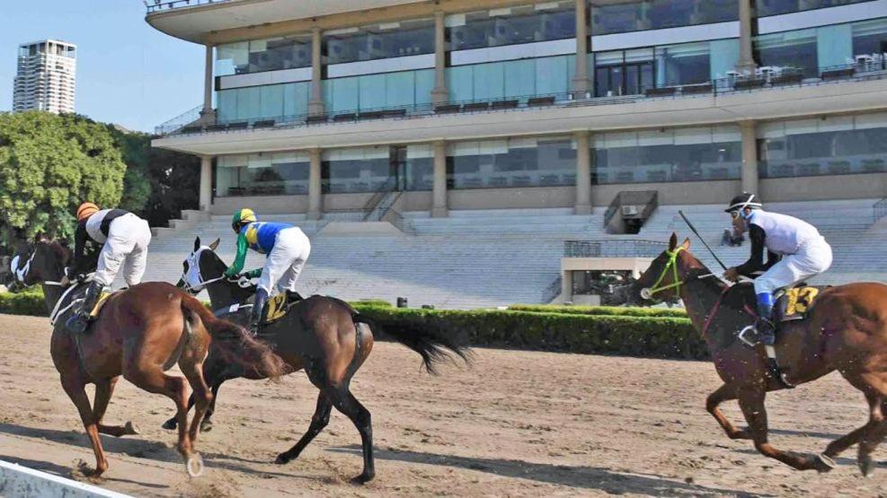 Con Piscina, Cochera, Loundry Y Gim En Palermo Buenos Aires