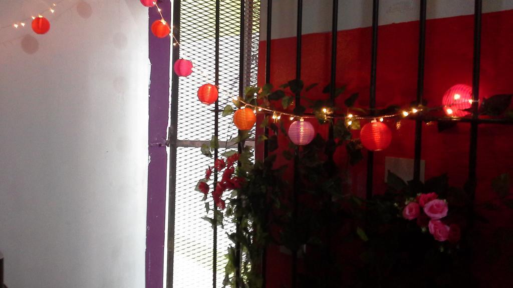 La Rana Hostal *