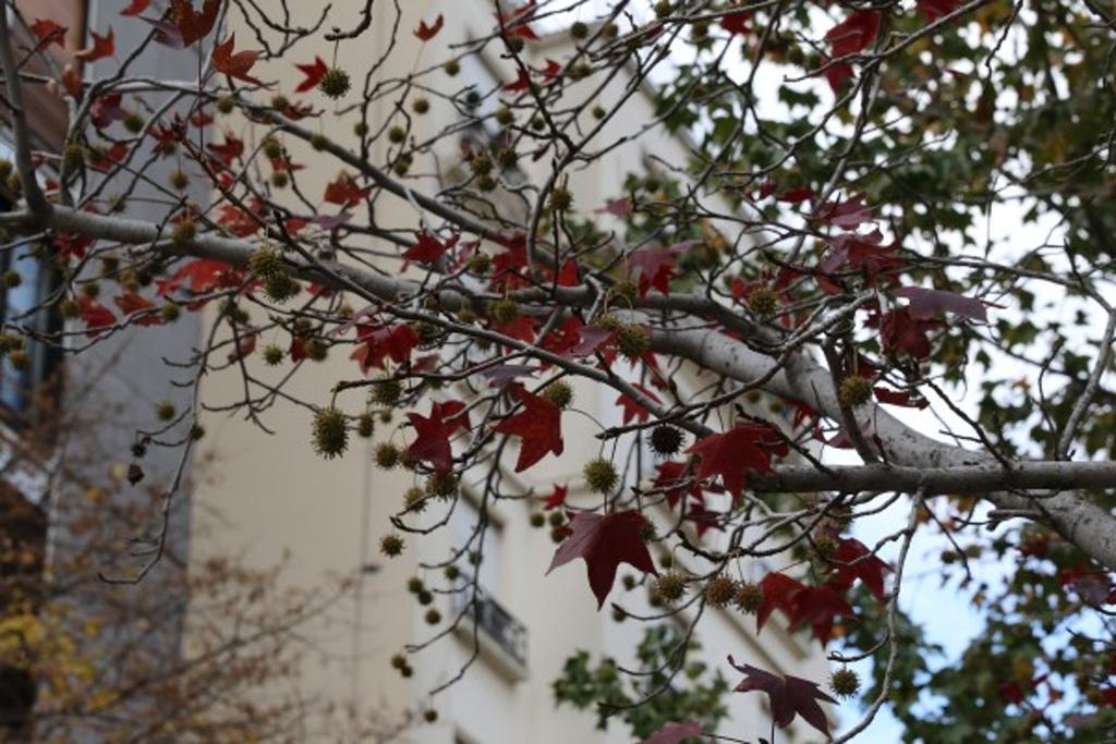 Apartamento Sunny Recoleta *