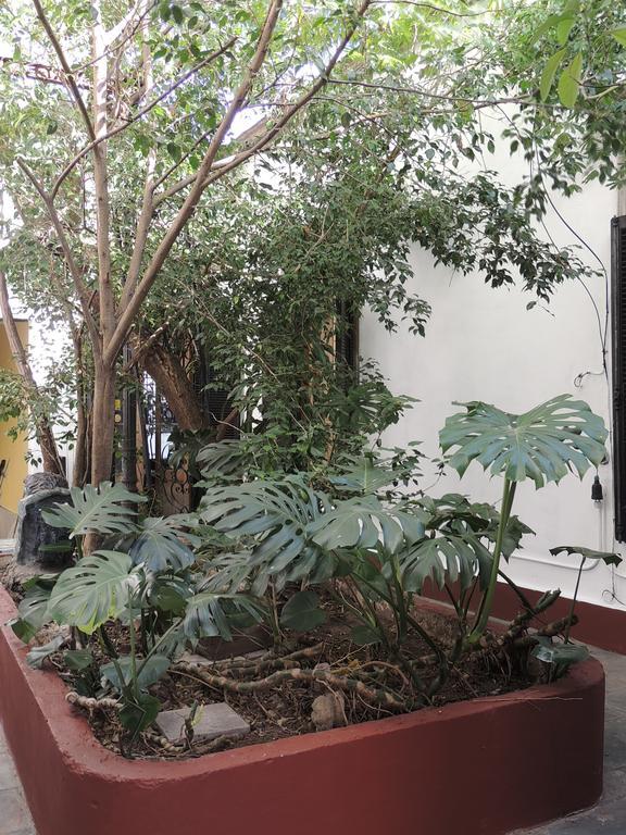Albergue Kilca Backpacker *