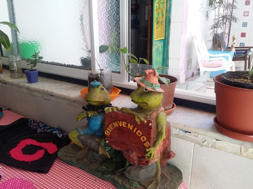 La Rana Hostal *