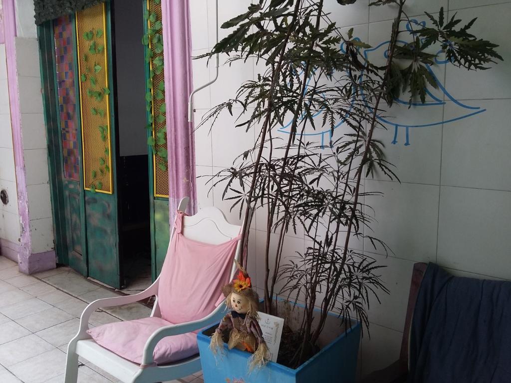 Hostal La Rana