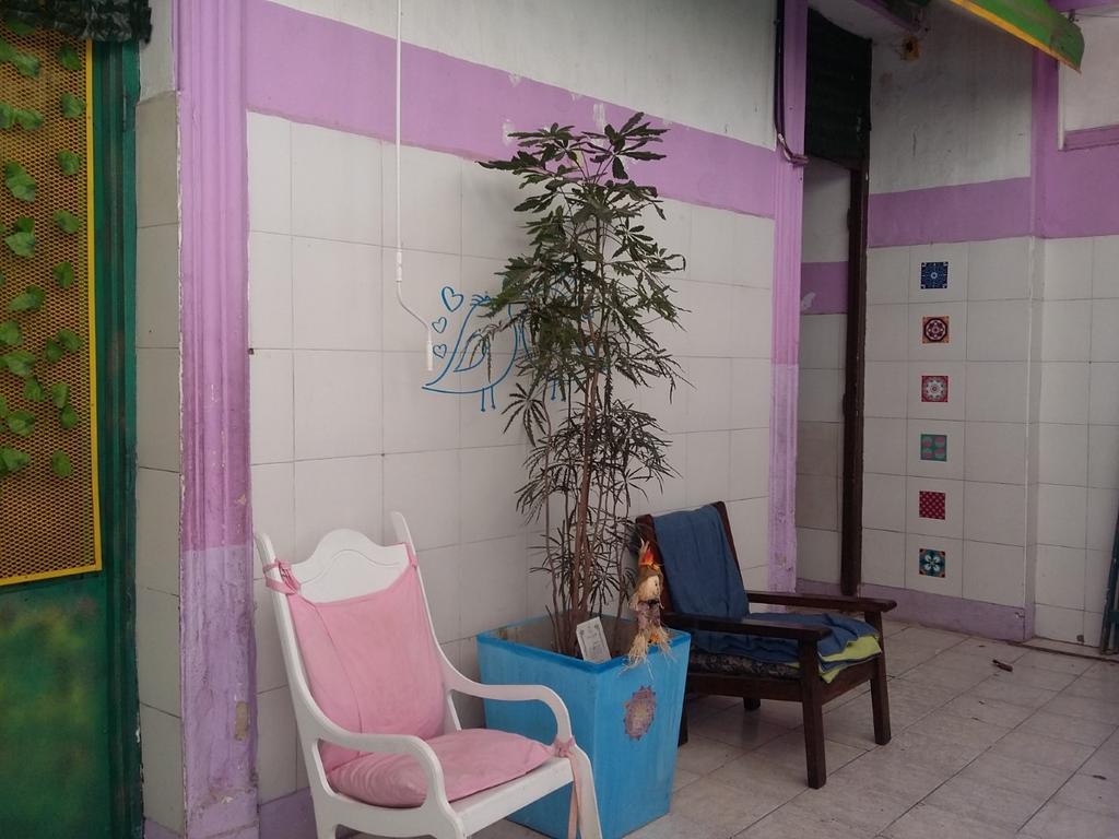 La Rana Hostal Ciudad Autónoma de Buenos Aires