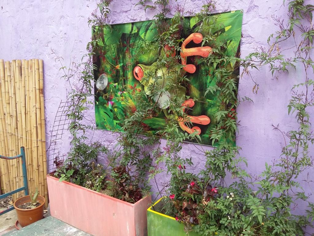 La Rana Hostal *
