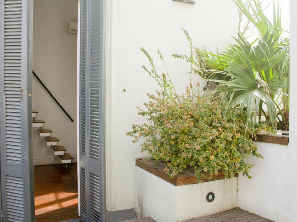 Bonito Buenos Aires, San Telmo 3* Ciudad Autónoma de Buenos Aires