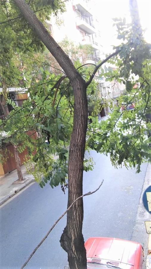 Alquiler Temporario Ciudad Autónoma de Buenos Aires