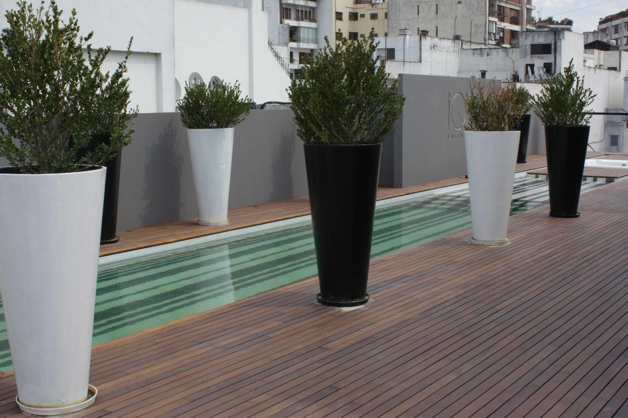 Iq Callao By Recoleta *