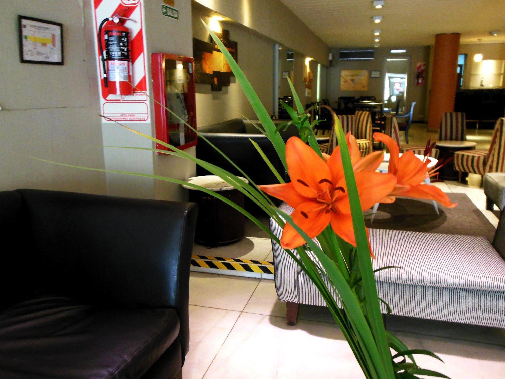 Impala Hotel 3*