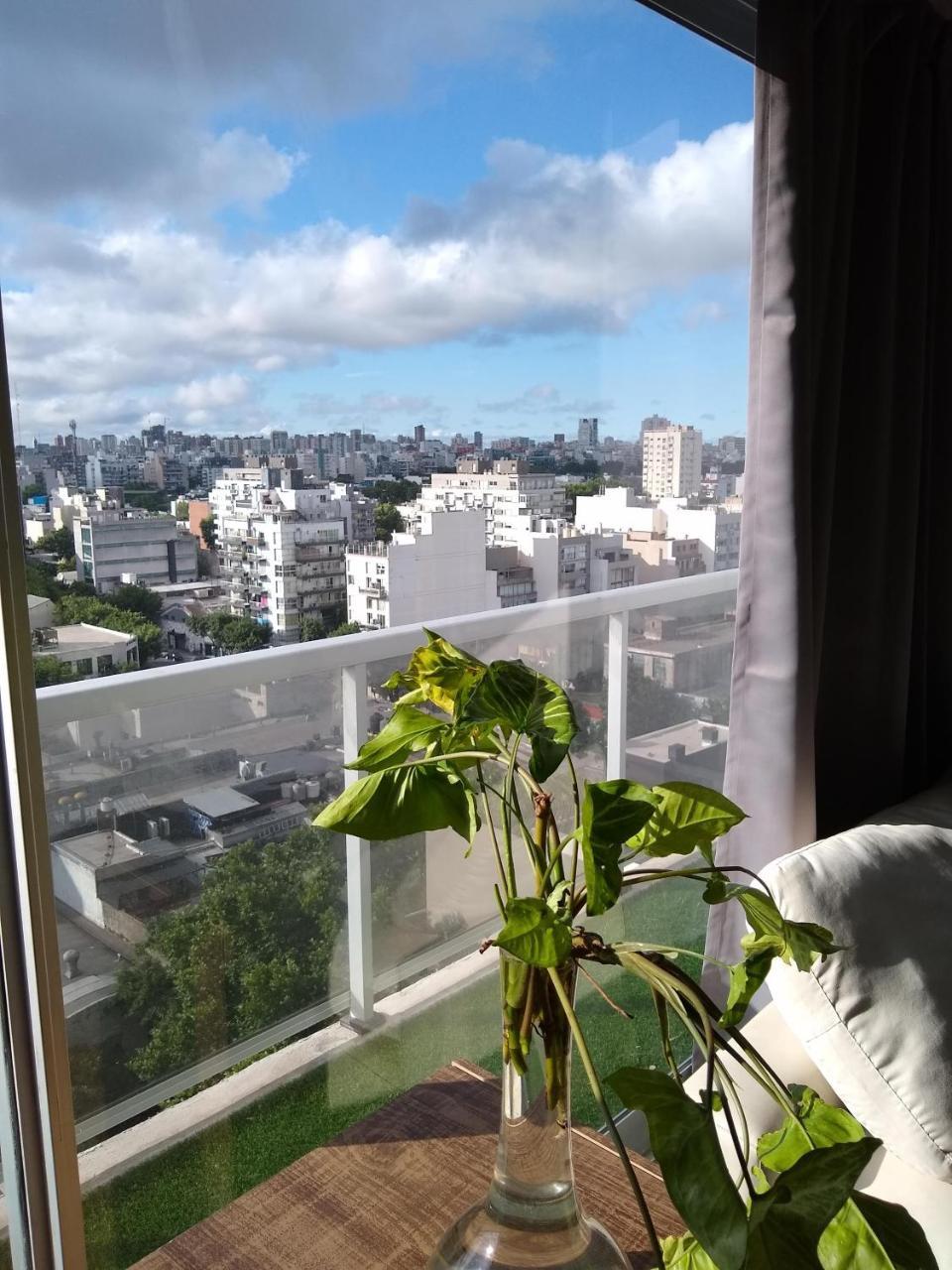 Mirador 1205