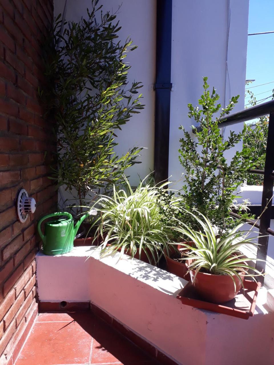 Apartamento Devoto Duplex *