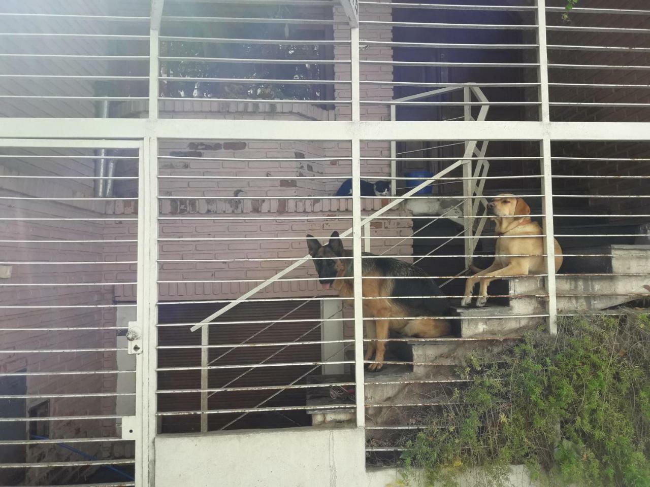 Hospedagem domiciliar A Buenos Aires