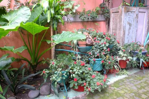 Casa San Telmo 2984 Ciudad Autónoma de Buenos Aires