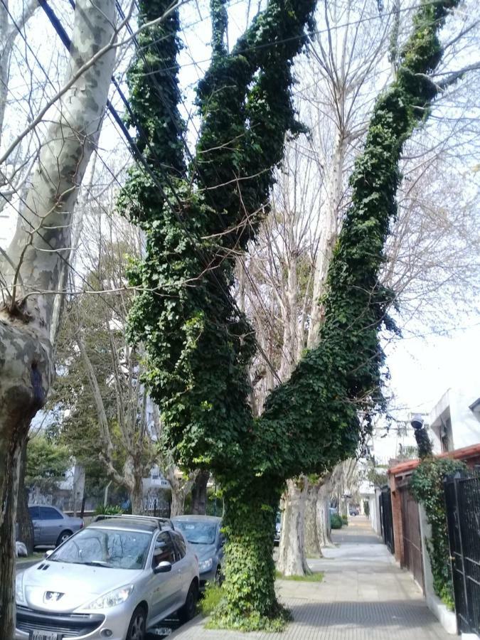 Lo De Sili *