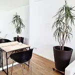 Nuñez Apartment