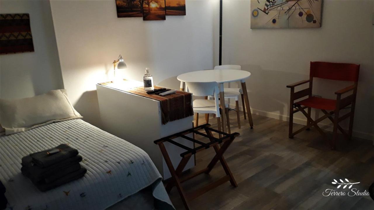 Terrero Studio Apartamento *