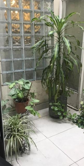 Departamento En Palermo, Lindo Y Muy Bien Ubicado Apartamento *