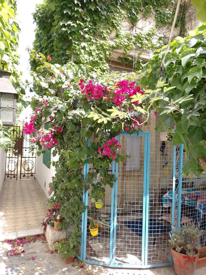 Apartamento Azul *