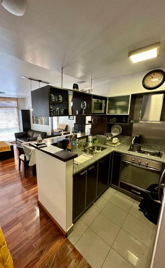 Departamento En Recoleta Apartamento *