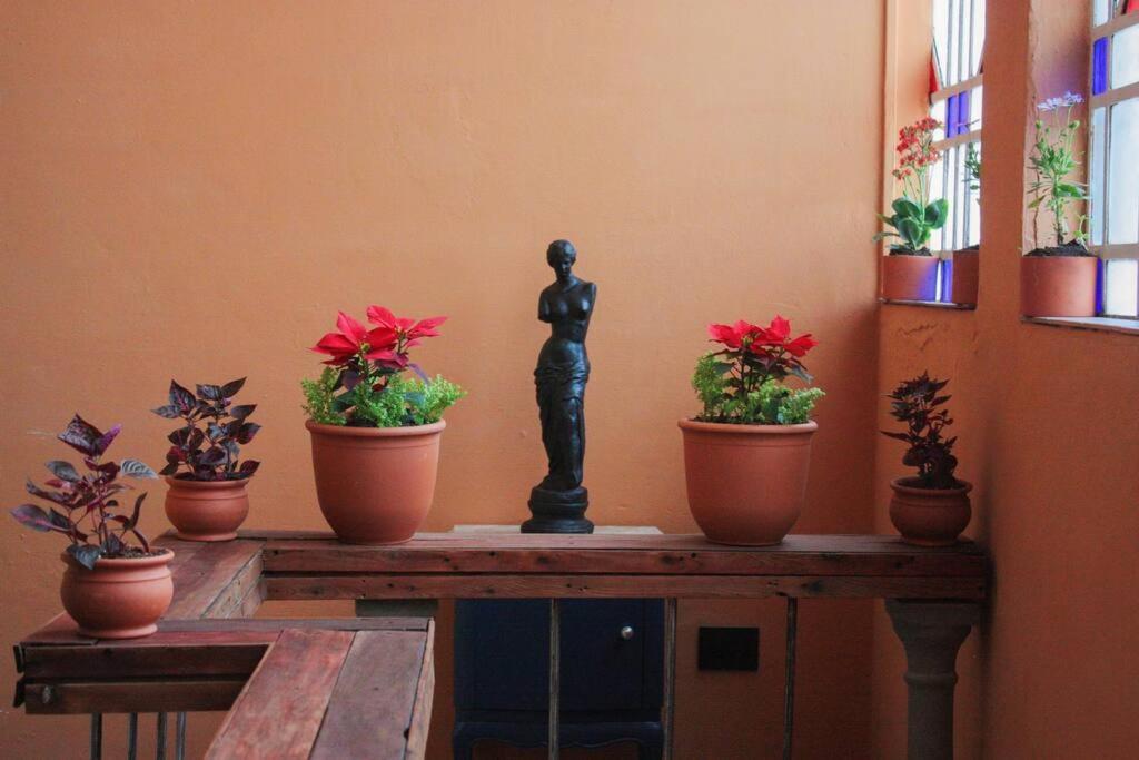 Recycled Loft In Historic Building * Buenos Aires