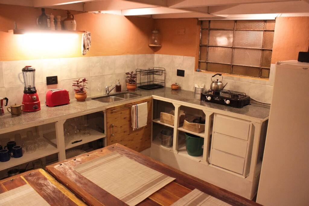Recycled Loft In Historic Building Apartamento Buenos Aires