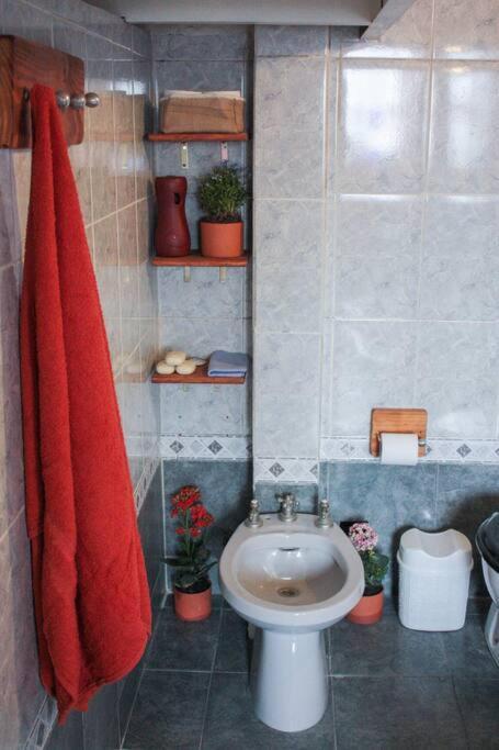 Apartamento Recycled Loft In Historic Building Buenos Aires