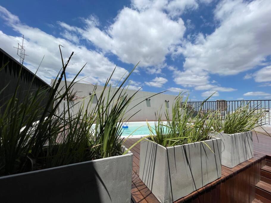 Apartamento Departamento Entero Con Pileta Y Parrilla *