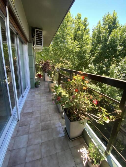 Amazing 3-bedroom In Beautiful Palermo/canita Area