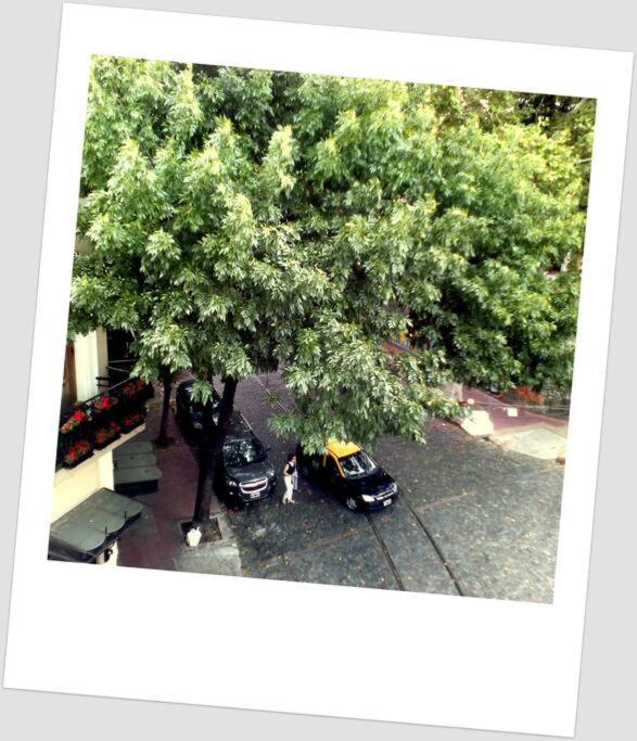 Departamento A Metros De Plaza Dorrego, San Telmo Apartamento *