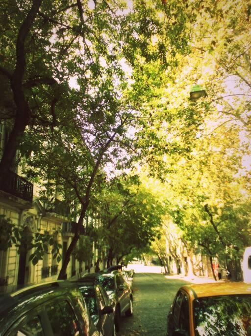Departamento A Metros De Plaza Dorrego, San Telmo * Buenos Aires