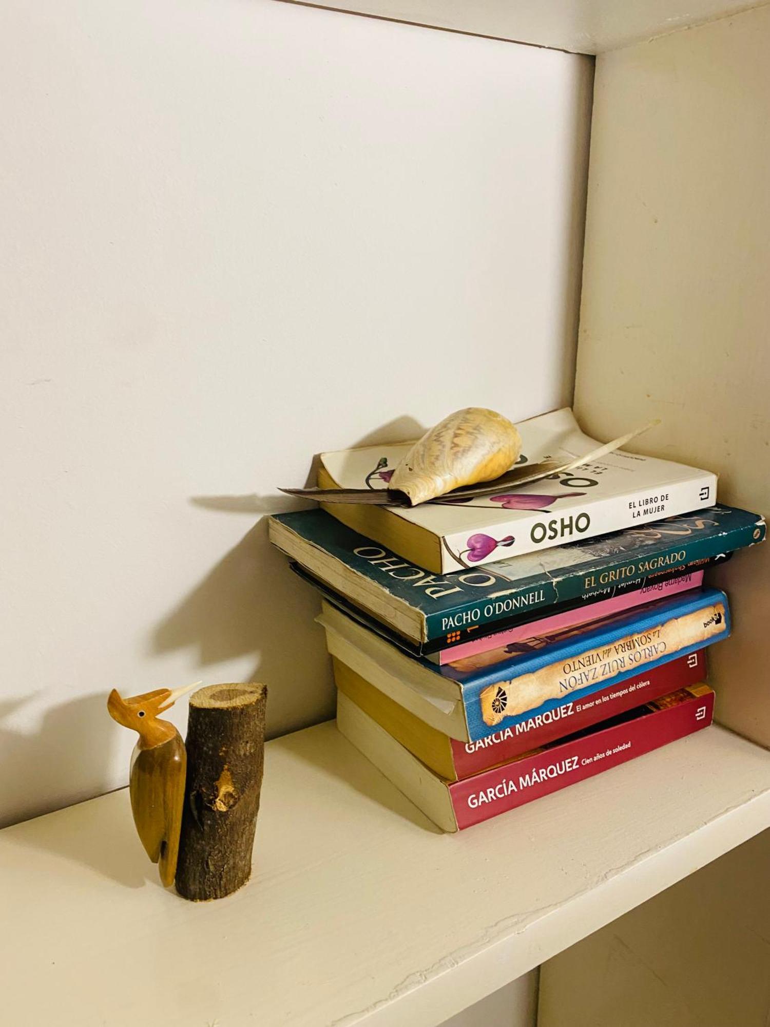Apartamento Seguridad, Silencioso Y Naturaleza. Pleno Recoleta