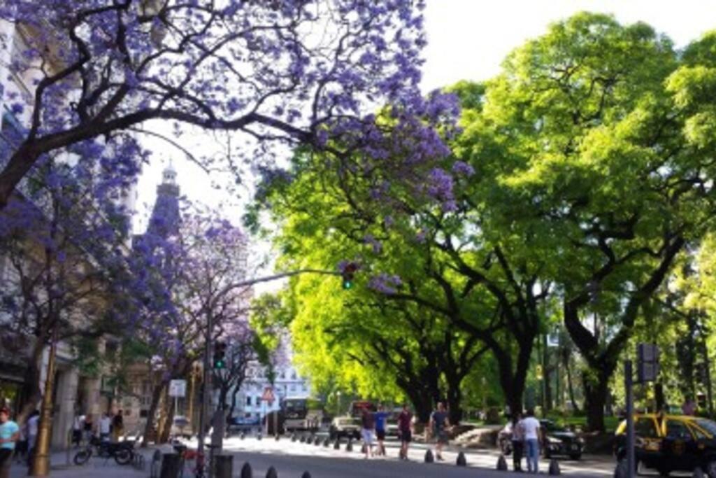 Beautiful Studio Bs As Down Town *