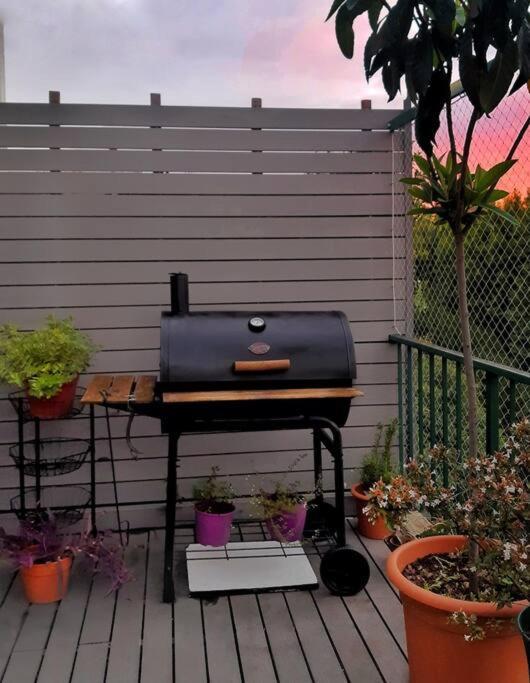 Apartamento Terraza De Palermo