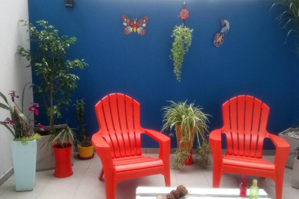 Apartamento Hermoso Estudio Con Patio Privado