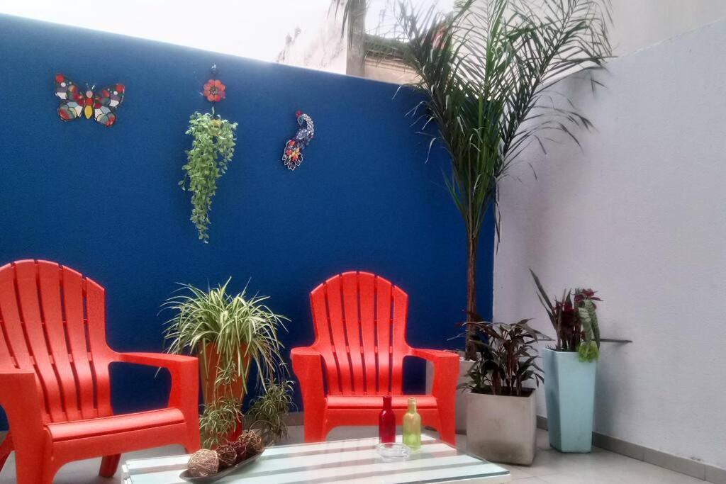 Apartamento Hermoso Estudio Con Patio Privado Ciudad Autónoma de Buenos Aires