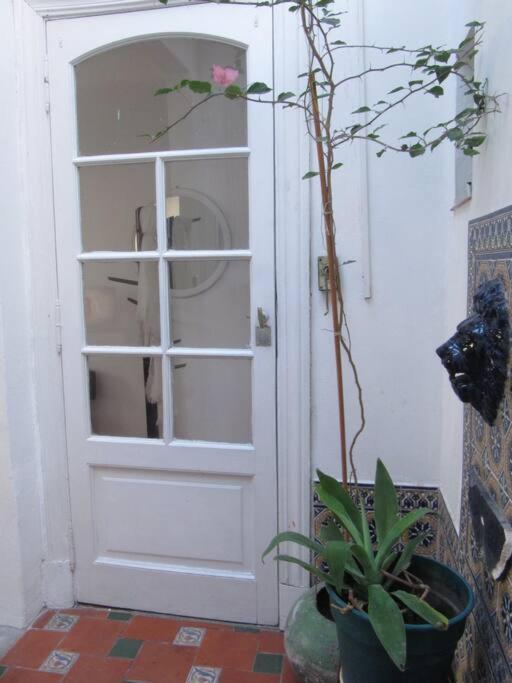Apartamento Precioso Departamento En Palermo
