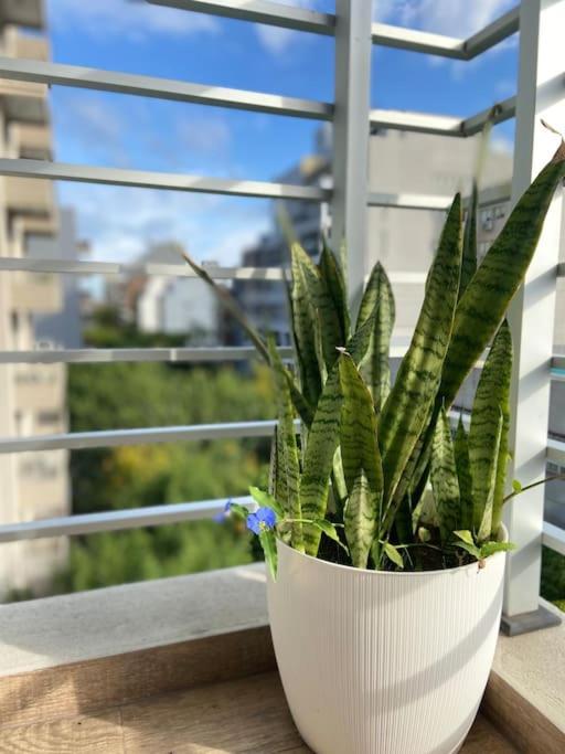 Apartamento Nuevo Guevara In Upgrade